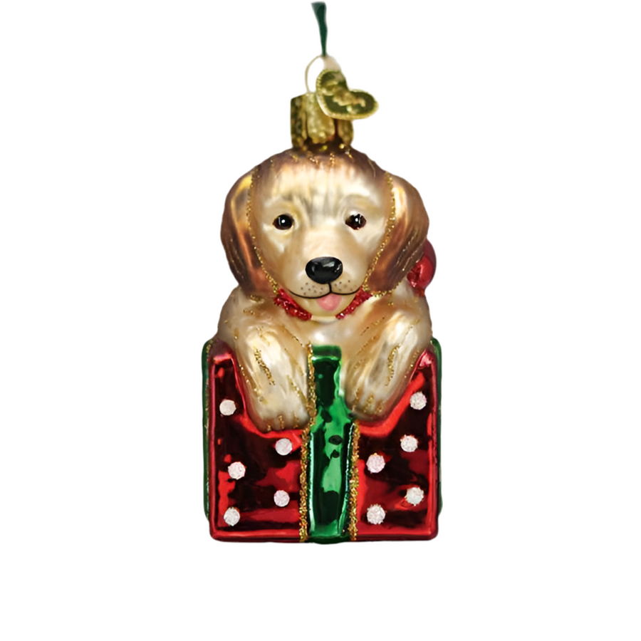 Golden Puppy Surprise Ornament