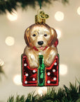 Golden Puppy Surprise Ornament