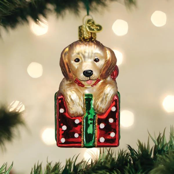 Golden Puppy Surprise Ornament