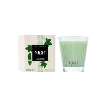 Nest Cucumber & White Sage Classic Candle 8.1 oz